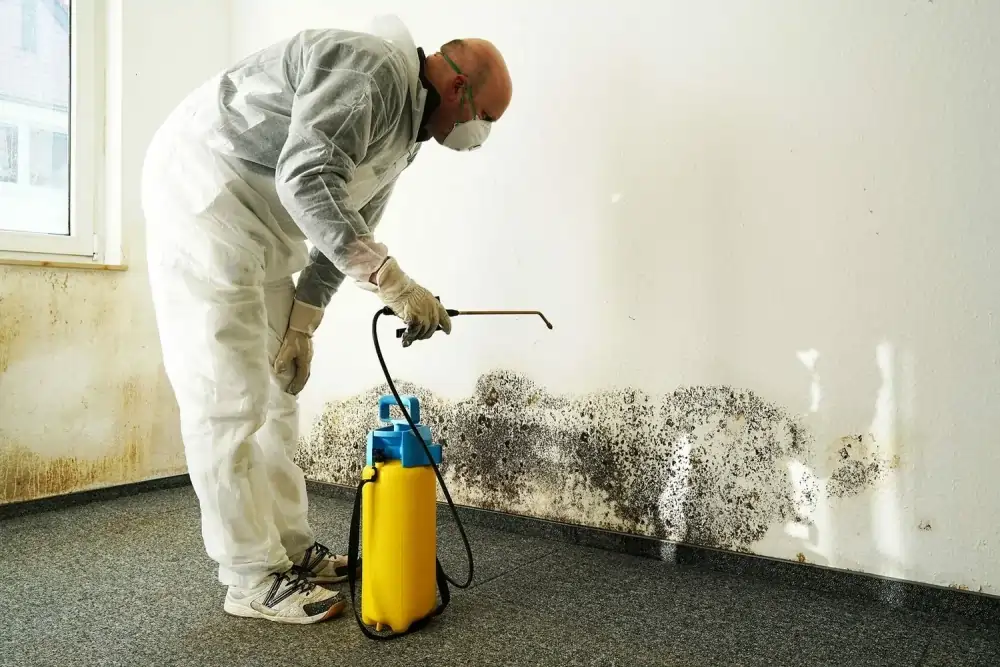 cleaning crawl spaces