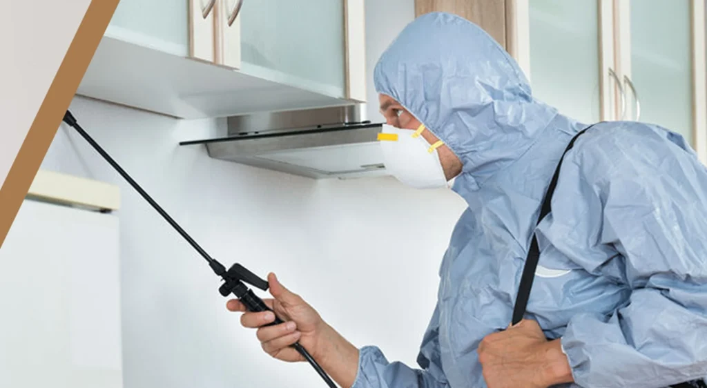 Pest control technician spraying treatment under a kitchen range hood in a Puyallup, WA home