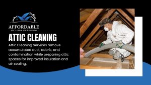 Attic Cleaning in Puyallup