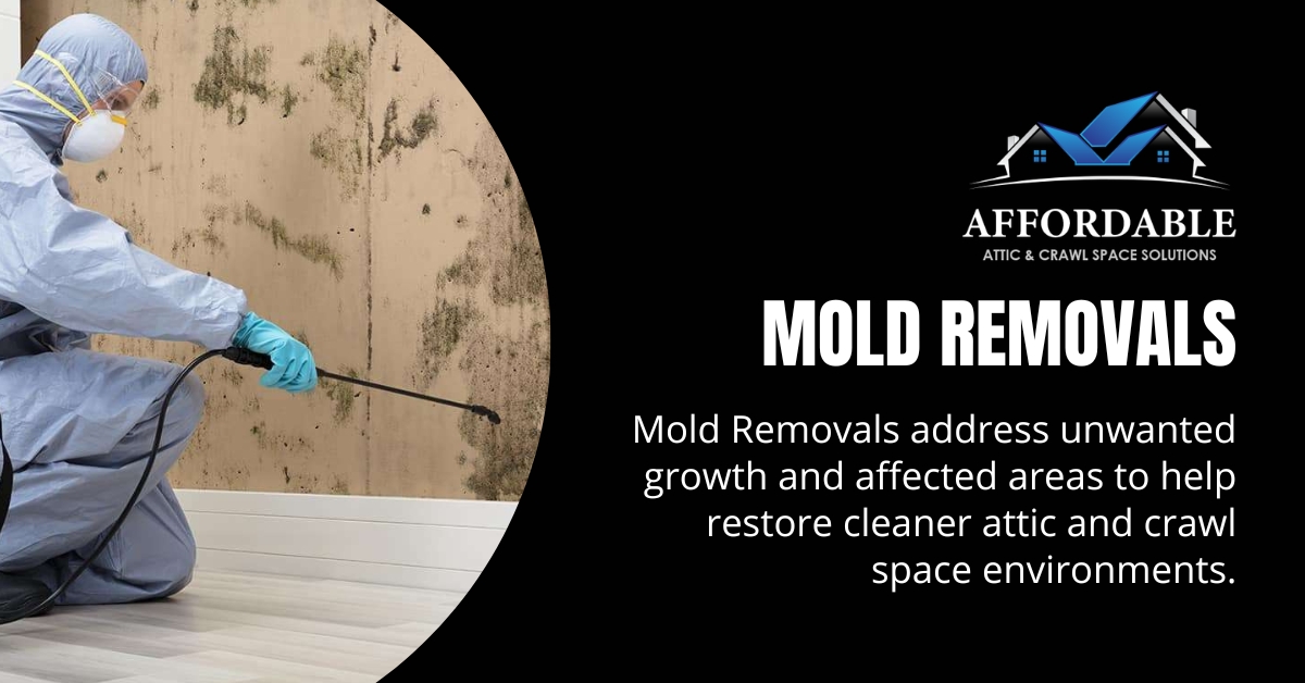 Mold Removal in Puyallup